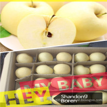 2015fresh Golden Apple in China with Reasonable Price